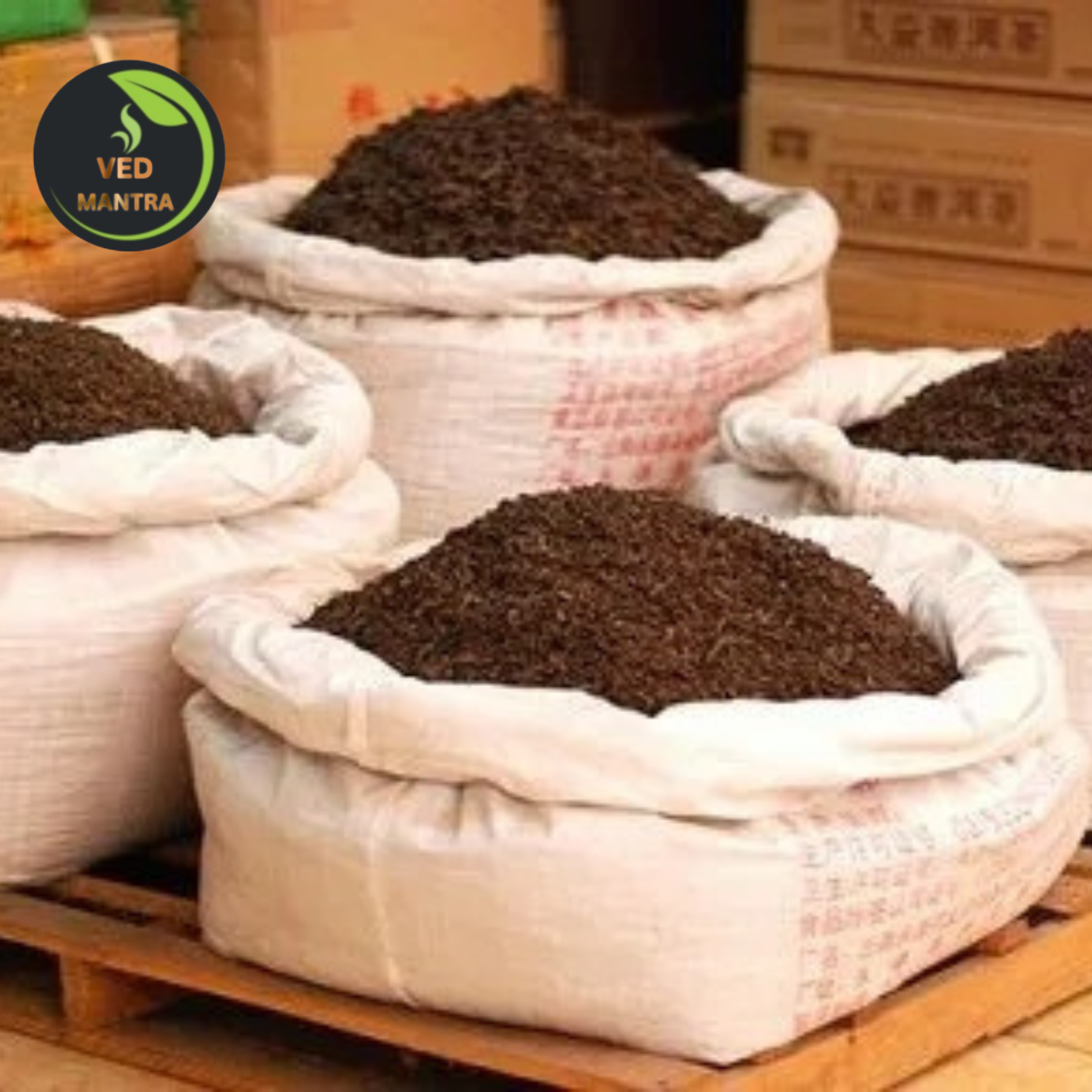 Wholesale Tea Supply in Indrapuram – Premium Bulk Tea Distributor